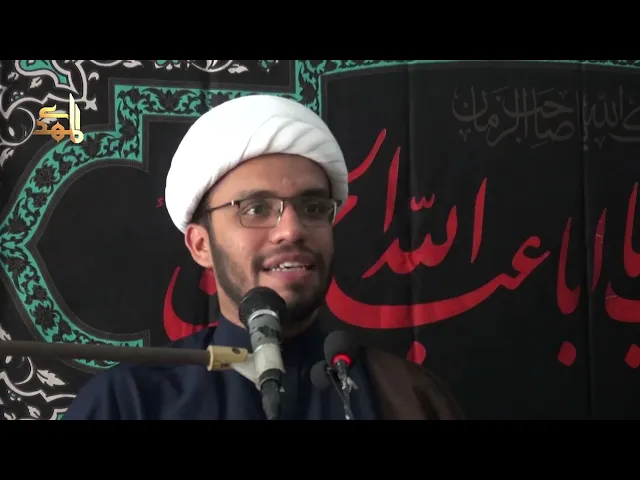 ⁣Azadari Ham se He Ya Ham Azadari se Hain | H.I Hadi Wilayati