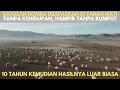 Download Lagu Ratusan Domba Dilepas di Lahan Tak Bernyawa, 10 Tahun Kemudian, Hasilnya Luar Biasa
