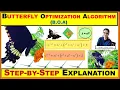 Learn Butterfly Optimization Algorithm B O A STEP-BY-STEP Explanation xRay Pixy
