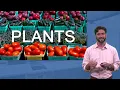 Low-Cost High-Nutrition Eating for Graduate Students Nutrition Basics