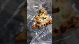 فضيحه بيتزا مايسترو 