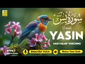 Download Lagu Surah Yasin (Yaseen) سورة يس ✦ Beautiful voice heart touching ✦ Calming Quran For Sleep ✦ Alaa Aqel