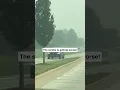 Vernon Hills Illinois wildfire smoke Bro I m suing Canada