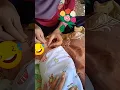 Download Lagu Bayi di tindik | Tanteku Bidanku
