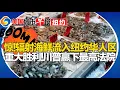 小心 辐射海鲜流入纽约华人区市场！川普要建超级拘留中心！川普赢下最高法院暂扣40亿SNAP！白卡正在被用来搜寻非移！政府停摆第38天 美国一指数创低值！美国城市早报-纽约1109
