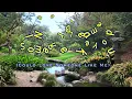 I NEVER DREAMED SOMEONE LIKE YOU (Could Love Someone Like Me) (Karaoke Version) - by Katie Irving