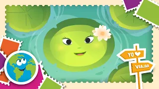 ¿CÓMO LA VICTORIA AMAZÓNICA SOPORTA EL PESO DEL SAPO? - Un Mundo de Preguntas l El Mundo de Luna!