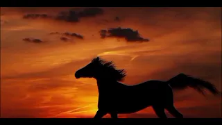 نشيد الصمود  اليوم يومك يا فتى  دندنها