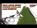 Download Lagu SUARA PIKAT BURUNG KUTILANG JERNIH AMPUH FULL MP3 SATU JAM NONSTOP