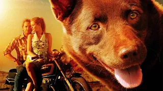 Filme Aventura/Comédia - Cão Vermelho - Dublado Completo