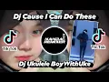 Download Lagu Dj Ukulele Cause I Can Do These Boywithuke Slow Beat Tik Tok Remix Terbaru 2021 (Nanda Remixer)