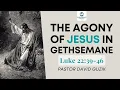 The Agony of Jesus in Gethsemane - Luke 22 39-46