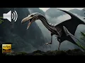 Download Lagu Pterodactyl High Quality Sound Effects