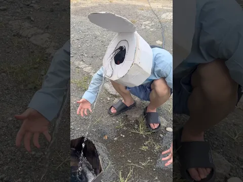 一瞬の油断で愛犬の命を失うことになった友人は最後まで涙を流した