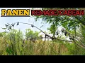 Download Lagu PIKAT KEMADE DAPAT HASIL MELIMPAH