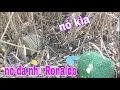 Download Lagu Con Quốc Quá Khôn Đeo Mãi Mới Thu Phục Được Nó # SĂN BẮT ĐỒNG THÁP #