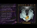 Maçka Yolları Taşlı (feat. Yusuf Uğurer) - Kurtalan Ekspres