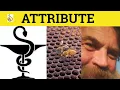 Attribute Attributed - Attribute Meaning