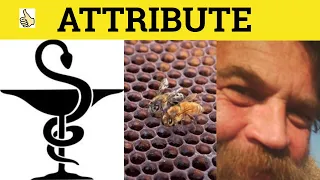 Attribute Attributed - Attribute Meaning