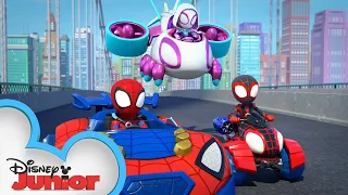 spin rushes in marvels spidey and his amazing friends disneyjunior