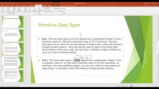 Java programming - primitive data types