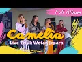 Download Lagu FULL ALBUM CAMELIA Pelan Tapi Pasti Terbaru Live Teluk Wetan