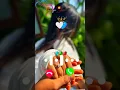 Download Lagu New romantic Ringtone 2025 | hindi ringtone |💫 Mp3 ringtone download #shorts #ytshorts #shortfeed