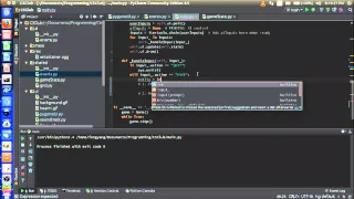 Pymaze Live Stream Enter the Player