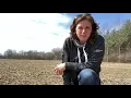 Soil Temperature