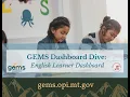 Dashboard Dive English Learner