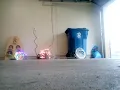 My Mr Christmas Lights And Sounds Of Christmas Outdoor Original 2020 Version