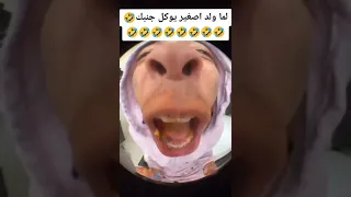 لما ولد صغير ياكل جنبك 