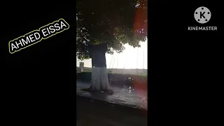 الفنان السودانى مصطفى مضوى عشرة شهور 