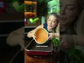 Download Lagu FIZ ESSE SALGADINHO CASEIRO + SAUDÁVEL