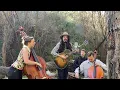 Kilometres live at the park - Mark Curtis and the Flannelettes