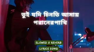 Download tui jodi chinti amay poraner pakhi(Slowed x Reverb)|তুই যদি চিনতি আমায় পরানের পাখি|S I Tutul|Lyrics MP3