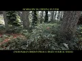 SkyrimSE 4K Overhauled NVT ENB - Obsidian Truly Natural Lush Forest