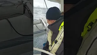 It’s a sea monster! 👾#shorts #sailing #patagonia