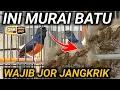 Download Lagu FULL INI DIA MURAI BATU JOR EF CARA MERAWAT MURAI BATU INI FULL KRODONG JOR EF