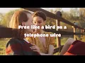 🎤🕺 Karaoke FREE LIKE - Maddie & Tae