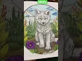 Wolfe coloring book