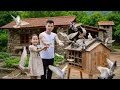 Ngo Tue personally builds a wooden pigeon coop expanding the farm in the heart of the forest