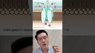  กลัวสังคมคืออะไร และเกิดจากสาเหตุใด 