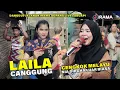 Download Lagu Mantap !! Laila Canggung Nia Dirgha Versi Terbaru Musik Jalanan Irama Dopang Live Labuapi