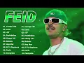 FEID MIX ÉXITOS 2025 💚 LO MÁS POPULAR DE FEID 2025 💚 LOS 30 MEJORES CANCIONES REGGAETON 2025 DE FEID