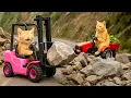 Download Lagu Mama Cat Trims Fur on the Farm and Makes Tiger Hat For Kittens At Home🐾🎩🐯