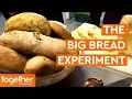 The Big Bread Experiment Promo