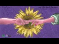 Sexy Pigeon - Hold My Hand Sunshine Copyright Free