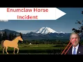 Lost Unsolved mystery s Enumclaw Washington Incident