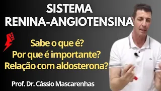 Sistema renina-angiotensina-aldosterona